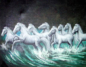 White Sea Horses